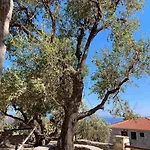 Casa Tsiliviani * Loukadika