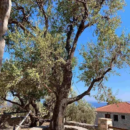 Casa Tsiliviani * Loukadika