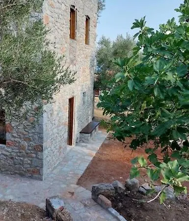 Casa Tsiliviani *