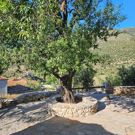 Casa Tsiliviani アパート